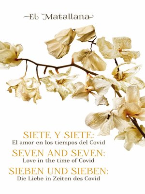 cover image of Siete y Siete